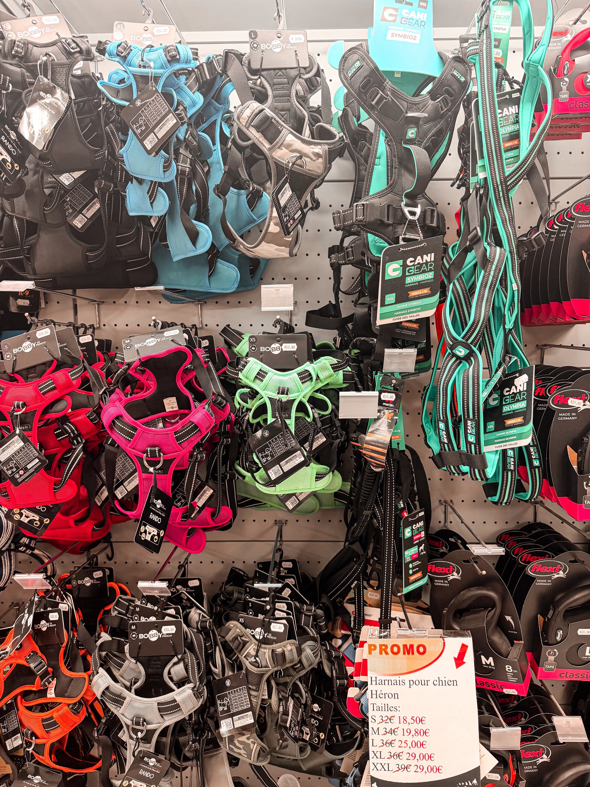 harnais pour chiens