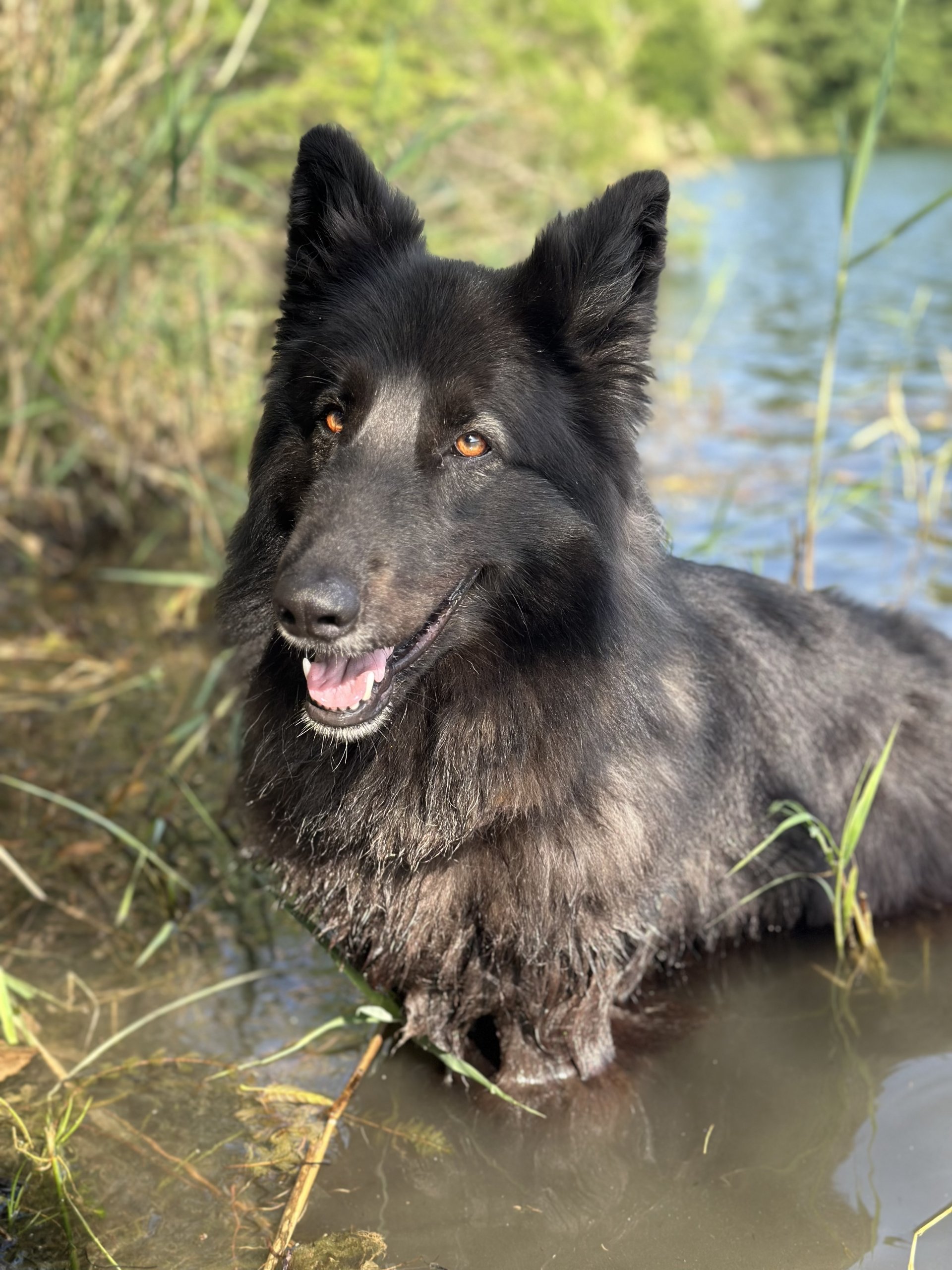 Lorem ipsum dolor sit amet consectetur.