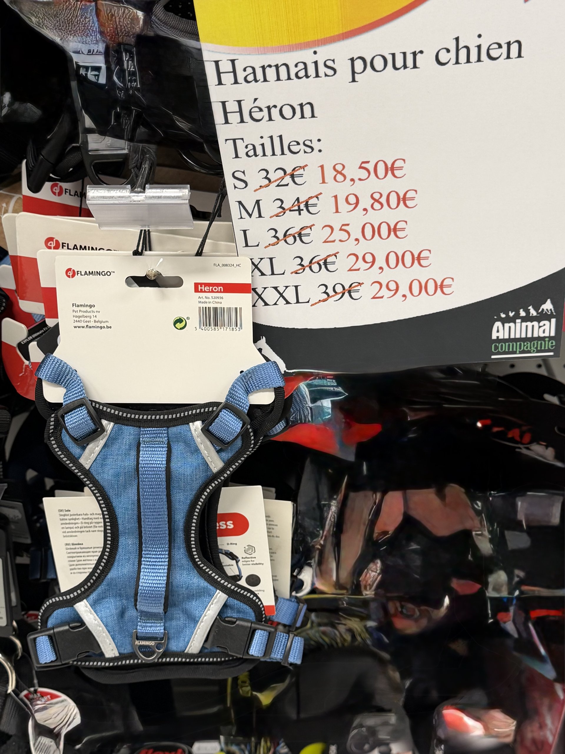 harnais pour chien héron