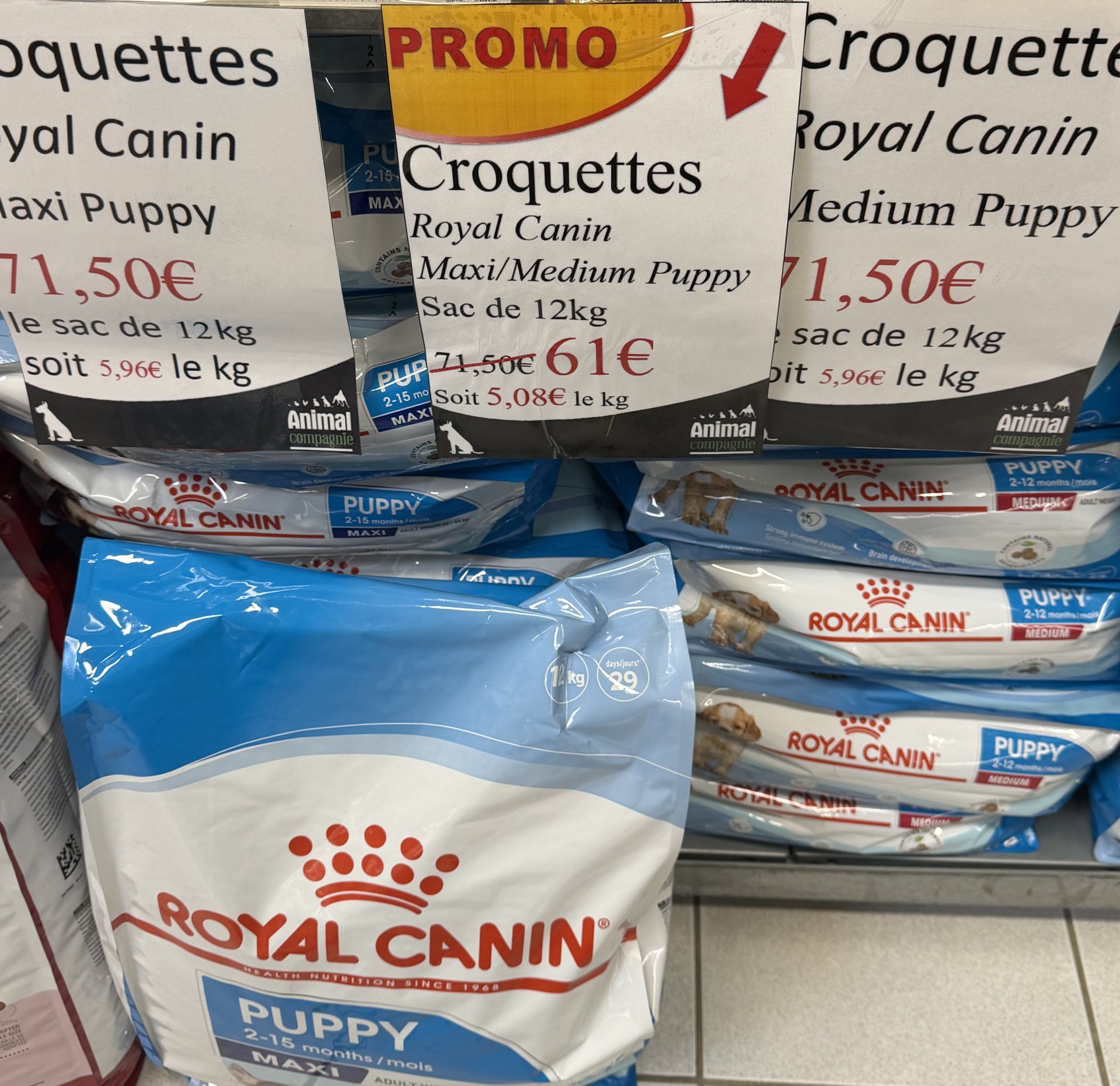croquettes royal canin medium maxi puppy 12kg